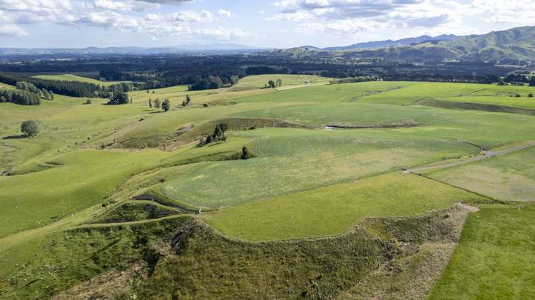 188 Burnetts Road Kaituna_11