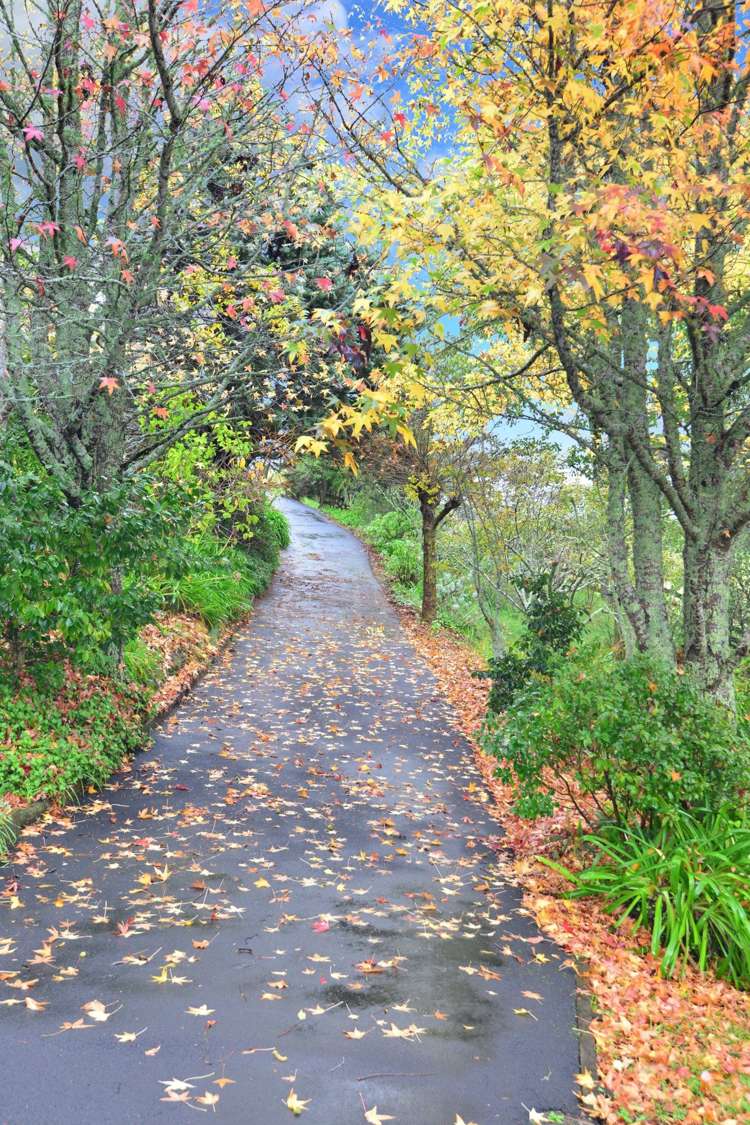 250 Ridge Road Coatesville_26