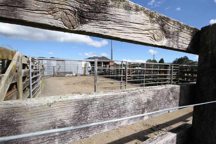 188 Waitawheta Road Waikino_25