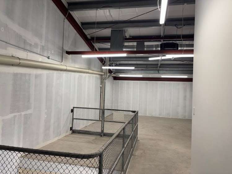 22 Munroe Street Napier South_6