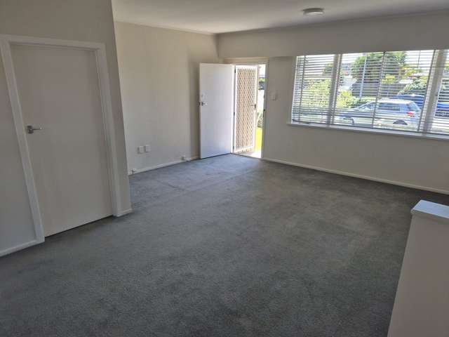 2/310 Lyndon Road West Hastings_1