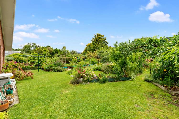 3 Carlton Street Te Aroha_19