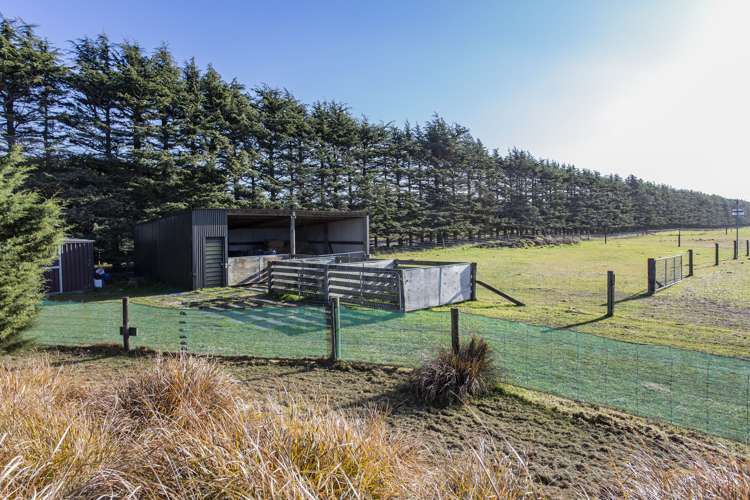 460 Newtons Road Rolleston_20