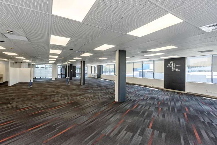 33 College Hill Freemans Bay_5