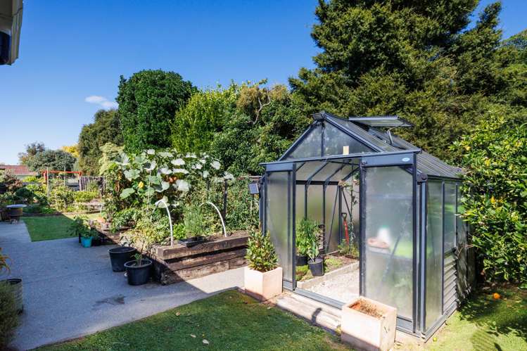 16 Mudgway Place Awapuni_17