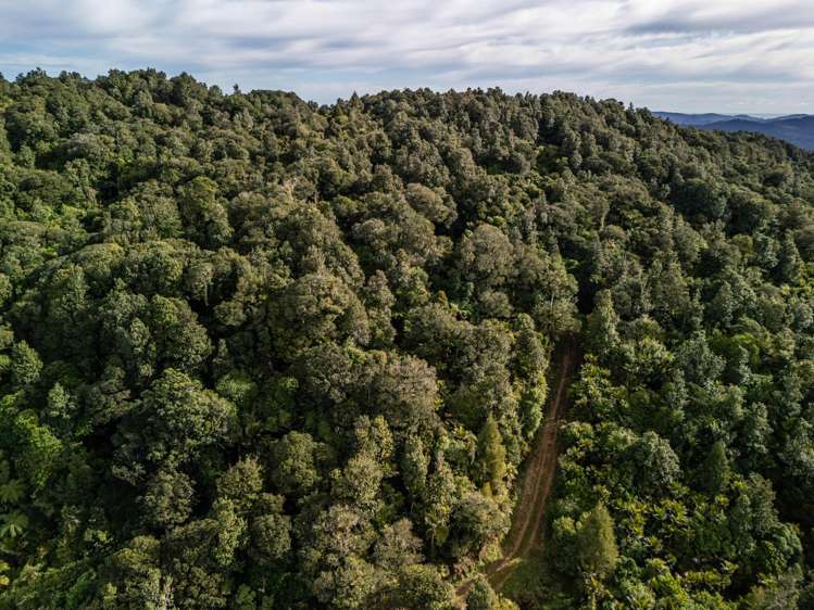 Lot Lot 2/2262 Waiare Road Kaeo_16