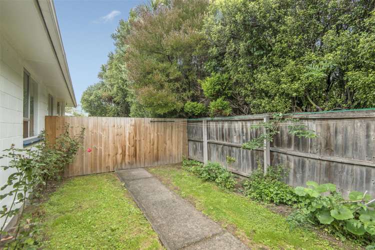 3/16 Hargest Crescent Sydenham_9