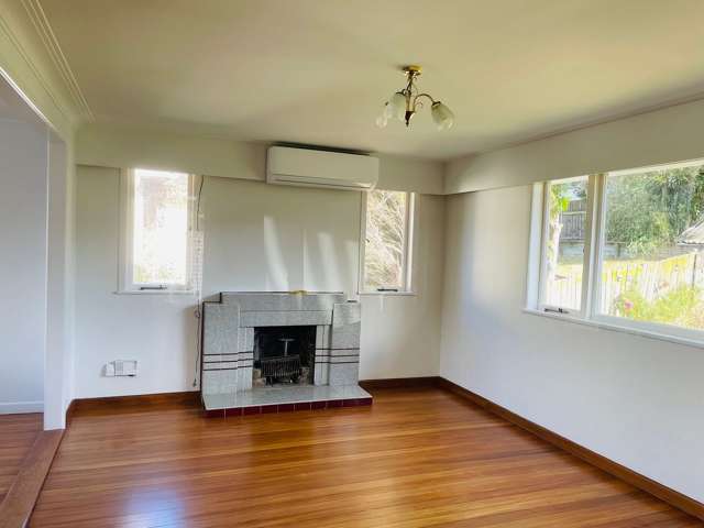 3 Marion Avenue Mount Roskill_1