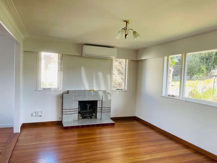 3 Marion Avenue Mount Roskill_1