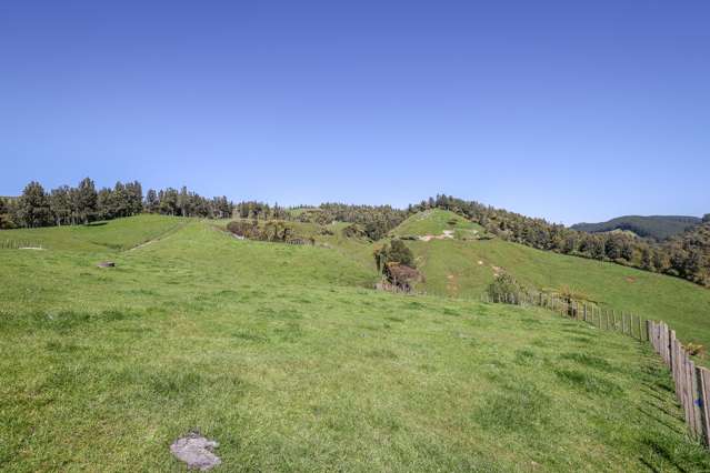 412 Bromley Road Otorohanga_2