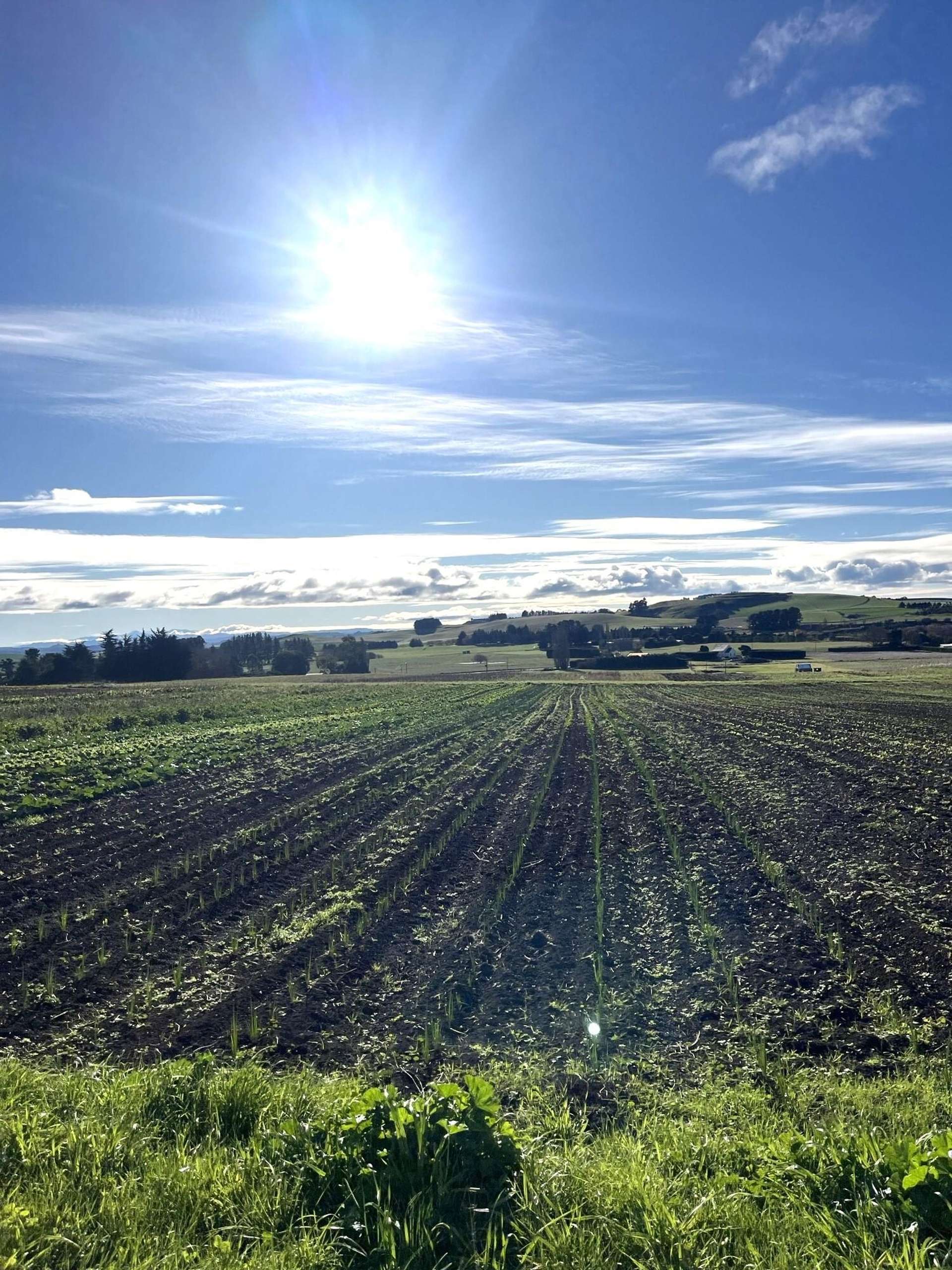 469 Alma-Maheno Road Oamaru_0