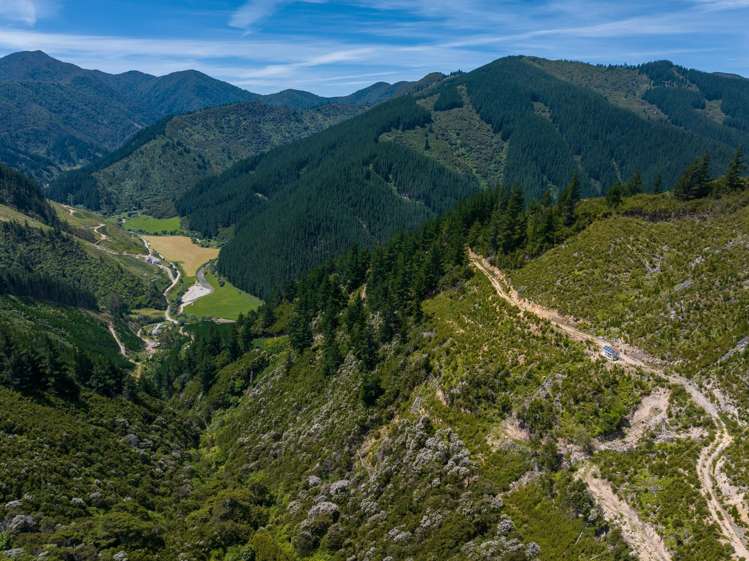 785 Waikakaho Road Tuamarina_22