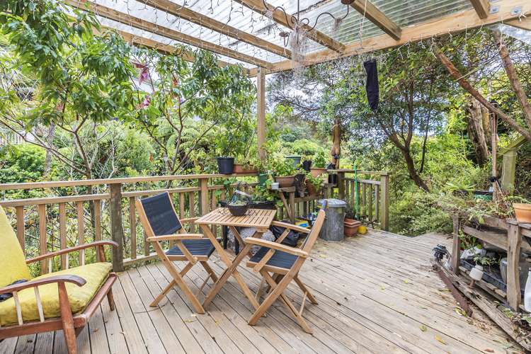 12 Krull Street Vogeltown_15