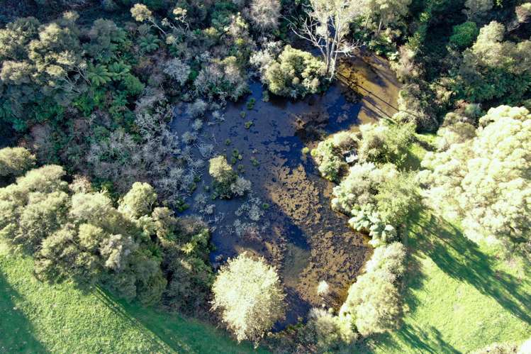 Maniatutu Road Pongakawa_21