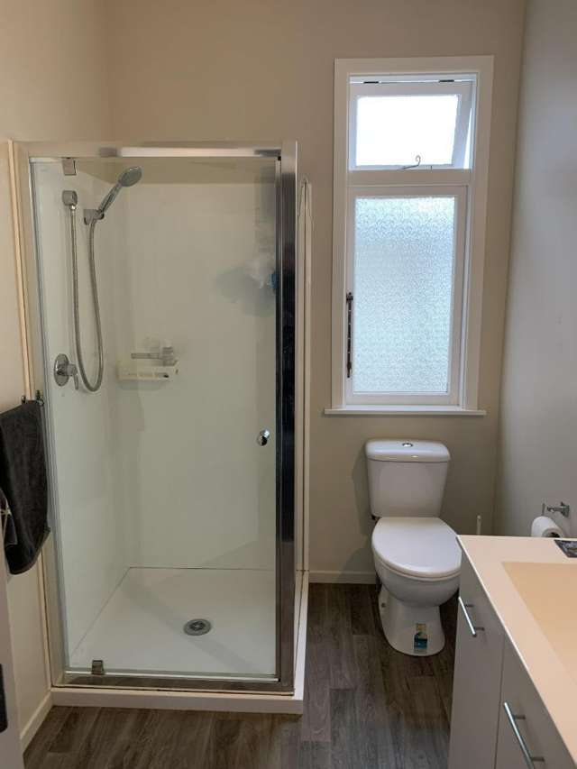 30 Alexandra Street Marton_4