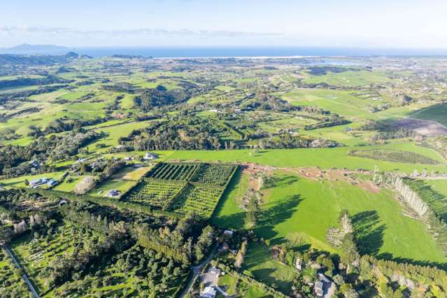 497a Tara Road Mangawhai_1