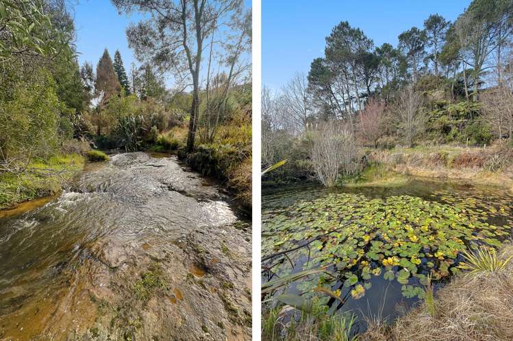 84 Tebbutt Road Lower Kaimai_6