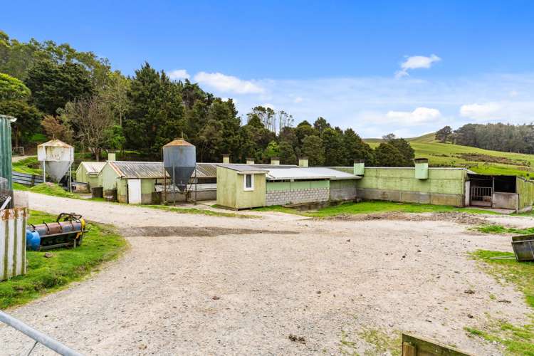 1638 State Highway 12 Paparoa_19