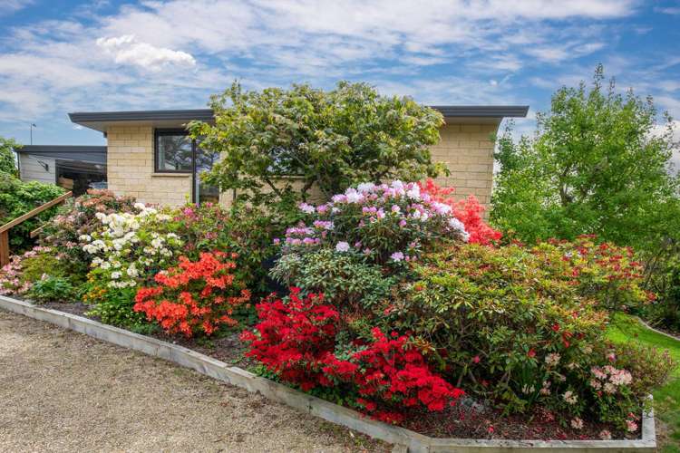 3 Peterson Place Alexandra_19