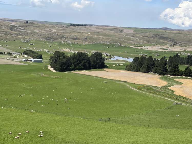 969 Nenthorn Road Moonlight_13