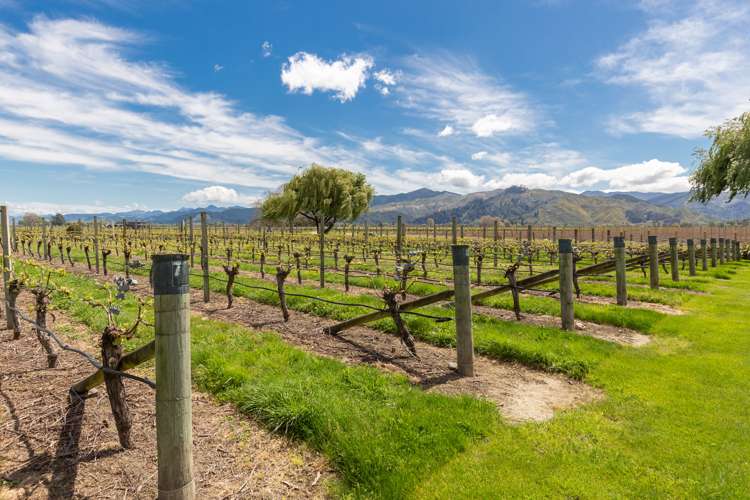 53 Selmes Road Rapaura_23