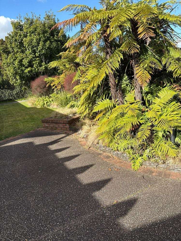 3 Bailey Avenue Claudelands_4
