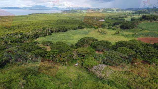 Your Fiji Dream Starts Here — 19 Acres of Pure Possibility near Labasa Town in the FIJI ISLANDS