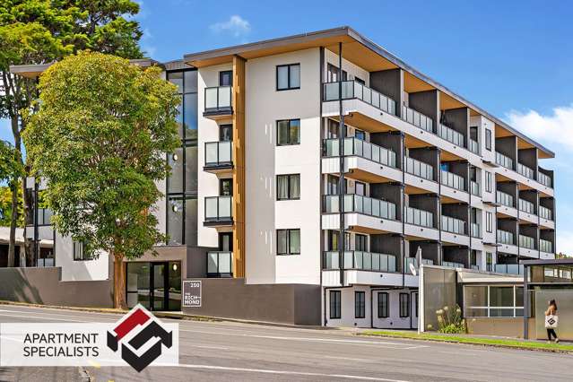 250 Richmond Road Grey Lynn_2