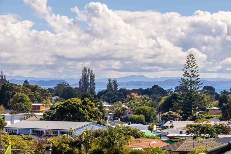 29a Rakino Avenue Manly_11