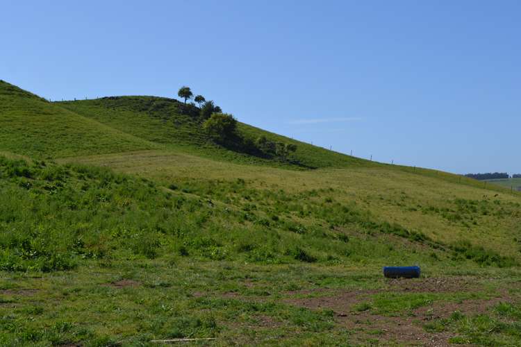 600 Island Stream Road Five Forks and Surrounds_14