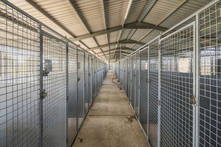 519 Old Renwick Road Springlands_23