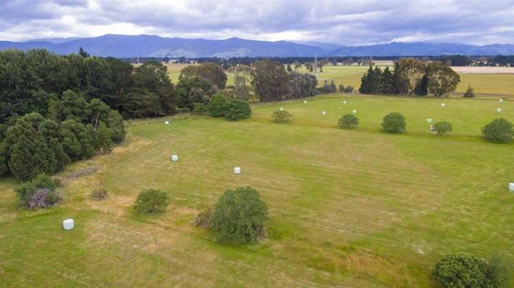 22 Battersea Road Greytown_17