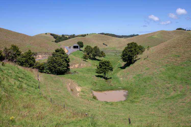 538 Hailes Road Whananaki_24