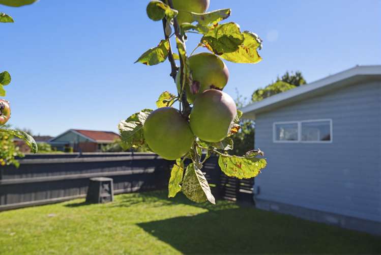 32 Sylvan Avenue Waikanae_34