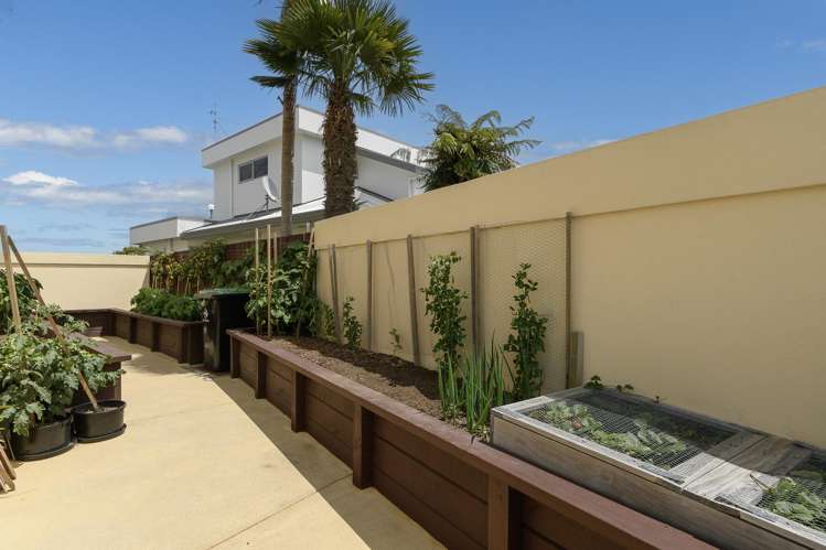 24 & 28 Avocet Avenue Maungatapu_22