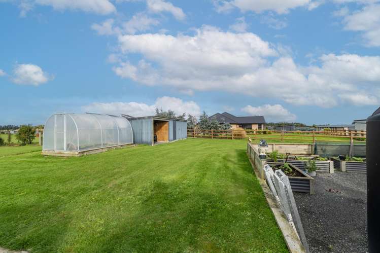 24 Chatham Rise Seaward Bush_26