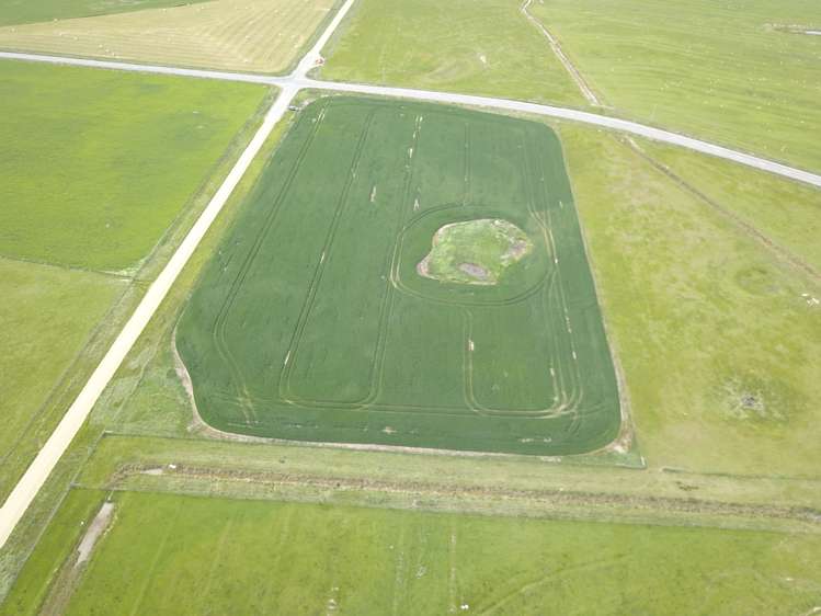 Ida Valley Road Poolburn_8