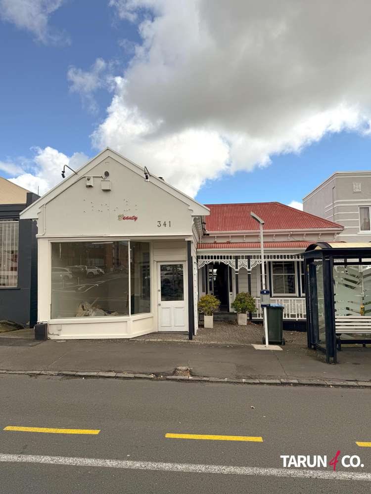 341 Dominion Road_0