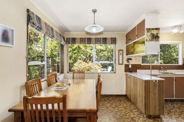 8 Radiata Grove Brown Owl_4