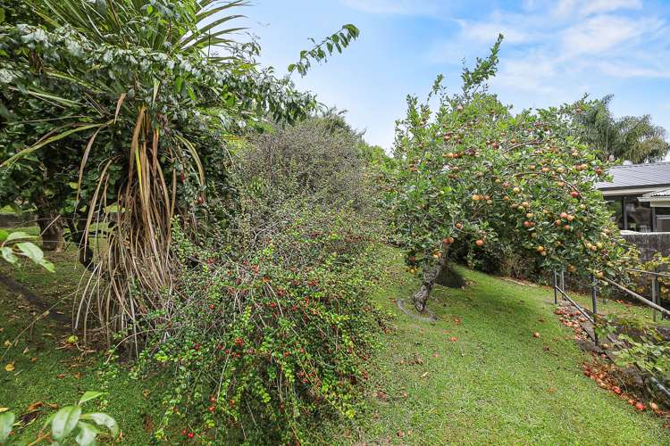 4 Domain Drive Otorohanga_28