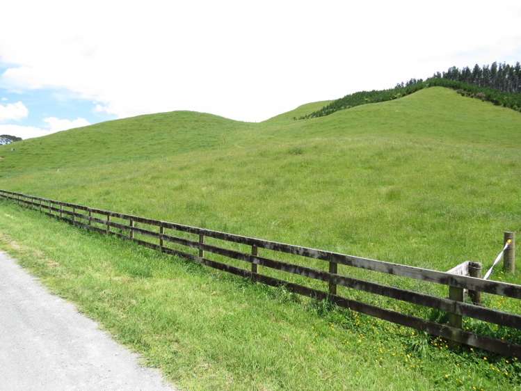 402i Crawford Road Wairoa_19