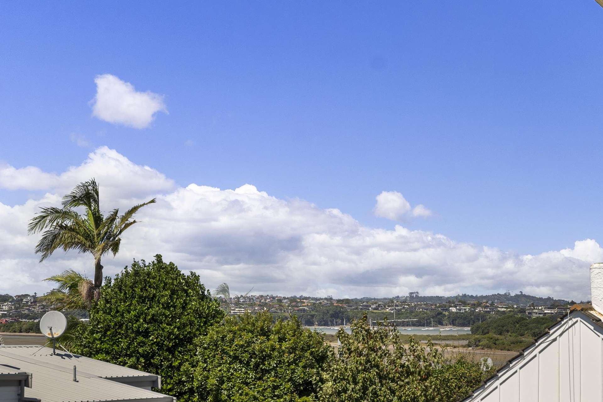 3/15 Hartland Avenue Glendowie_0