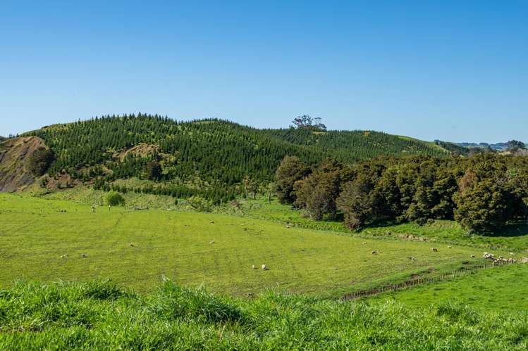 Porangahau Road Wallingford_3