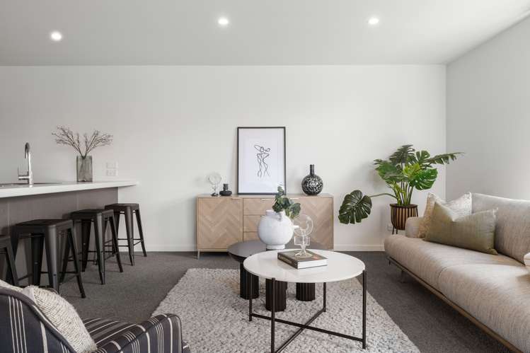 31 Seddon Street Sydenham_7