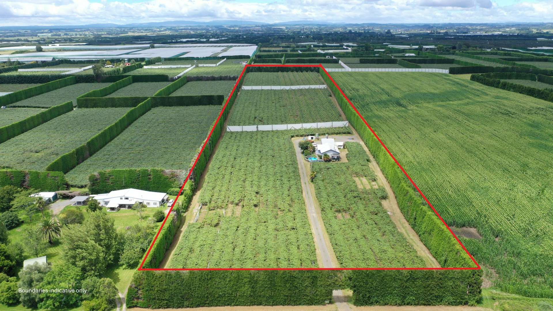 136 Kelly Road Te Puke_0