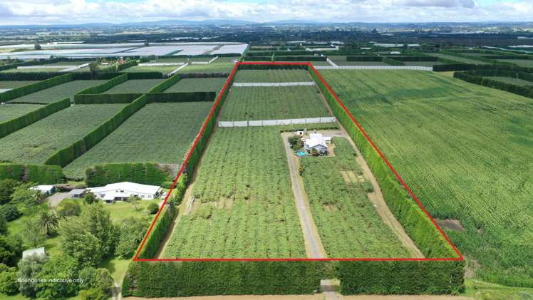 136 Kelly Road Te Puke_0