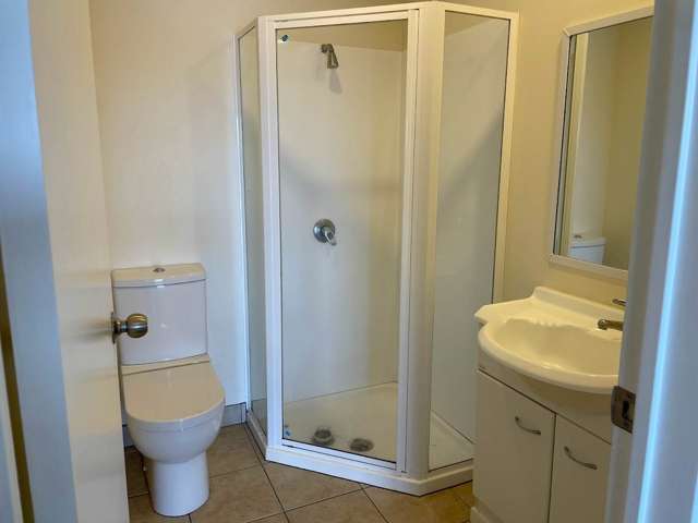 5P/10 Crown Lynn Place New Lynn_4