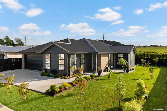 7 Te Ara Hikoi Pukekohe_4