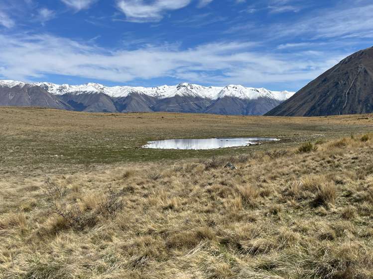 Lagoon Block, Ohau Downs Station Lake Ohau_11