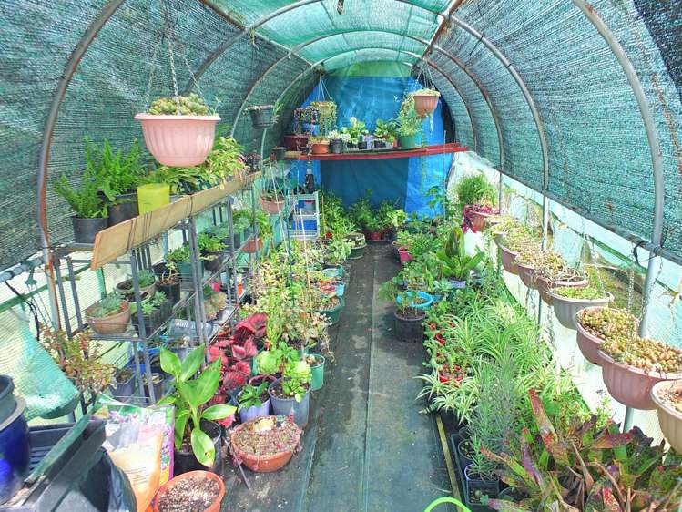 7 Brown Street Foxton_21